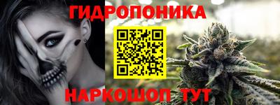 PSILOCYBIN Заводоуковск