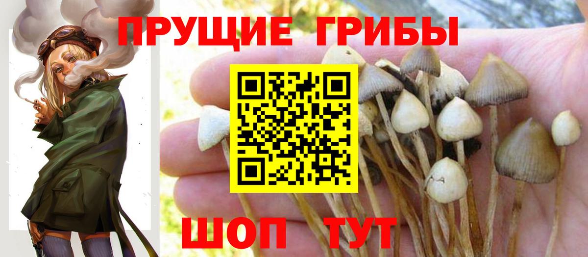 Псилоцибиновые грибы ЛСД Керчь